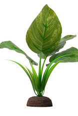 Fluval FLUVAL Aqualife Plant Scape Varigated Lizard's Tail