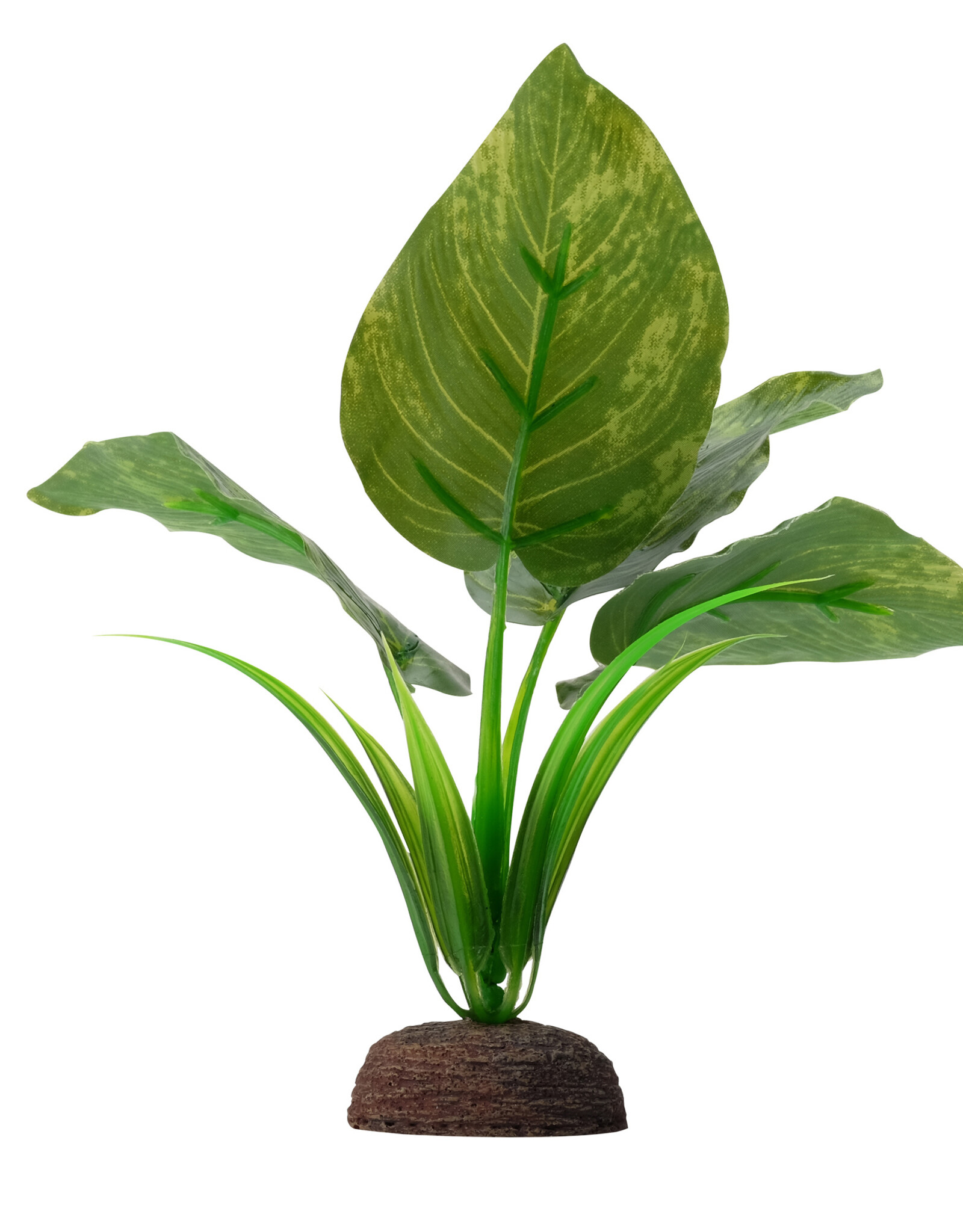 Fluval FLUVAL Aqualife Plant Scape Varigated Lizard's Tail