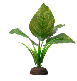 Fluval FLUVAL Aqualife Plant Scape Varigated Lizard's Tail