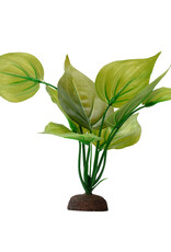 Fluval FLUVAL Aqualife Plant Scape Varigated Lizard's Tail