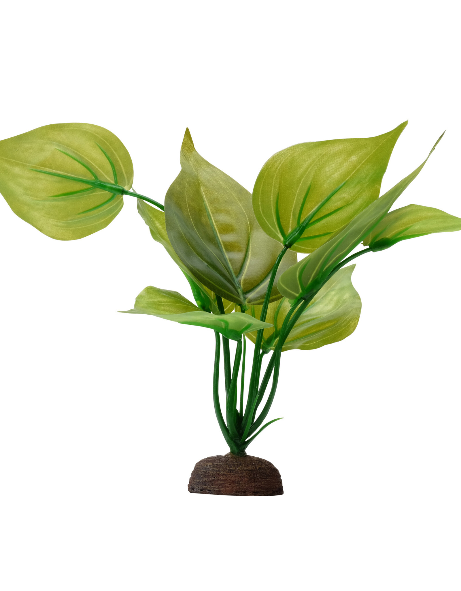 Fluval FLUVAL Aqualife Plant Scape Varigated Lizard's Tail