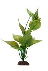 Fluval FLUVAL Aqualife Plant Scape Varigated Lizard's Tail