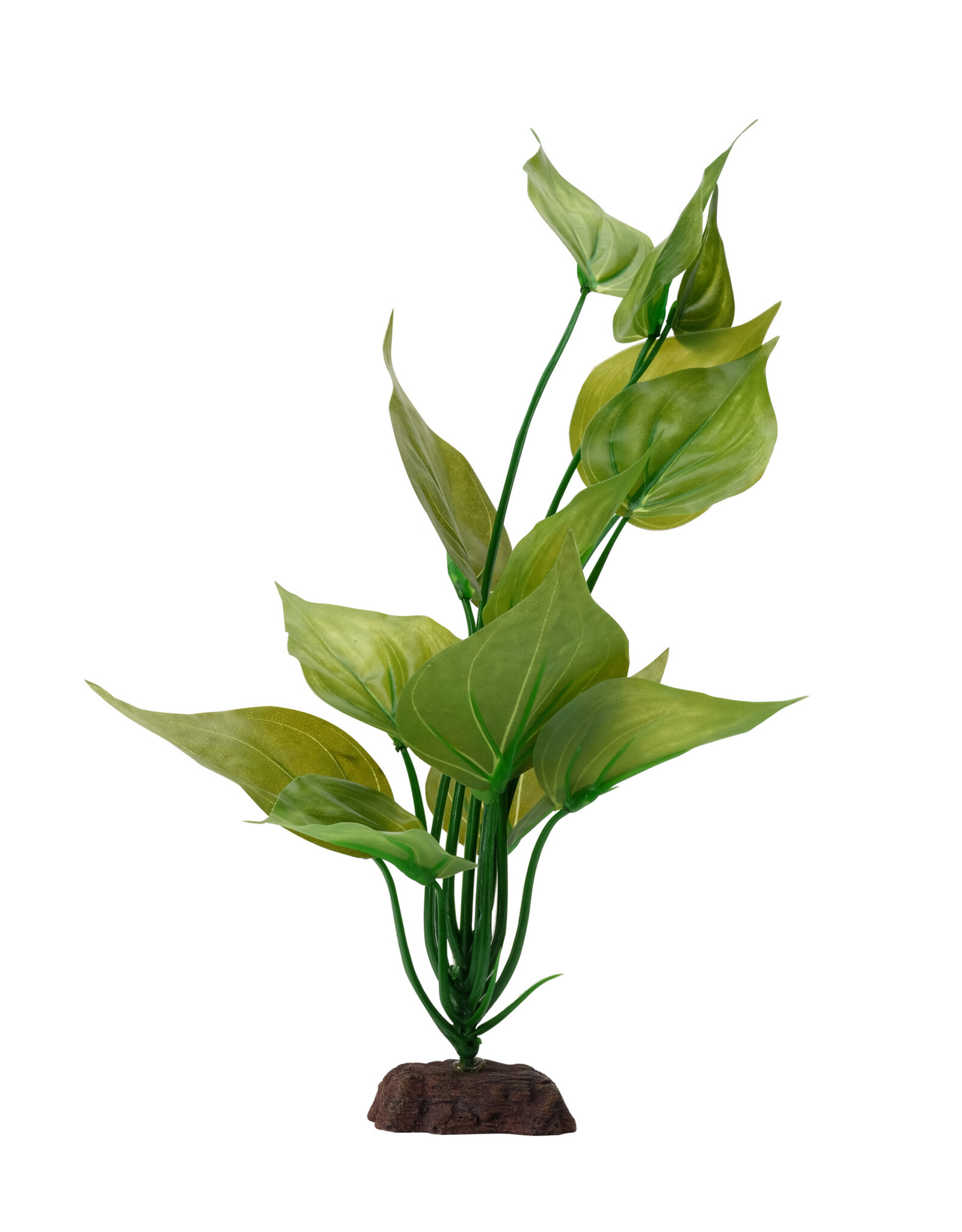 Fluval FLUVAL Aqualife Plant Scape Varigated Lizard's Tail