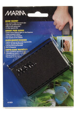 Marina MARINA Algae Magnet