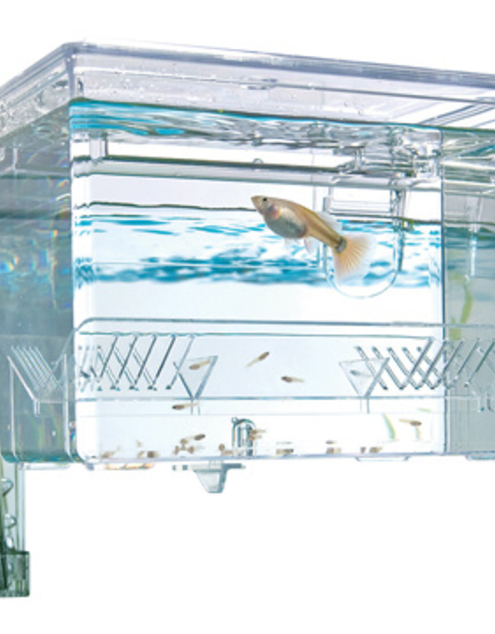 Fluval FLUVAL Hang On Breeding Box