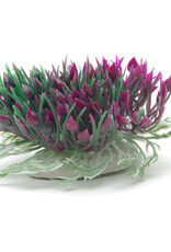 Marina MARINA Betta Ornament Purple Hearts Shrub