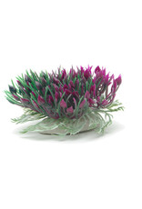 Marina MARINA Betta Ornament Purple Hearts Shrub