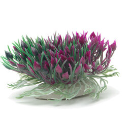 Marina MARINA Betta Ornament Purple Hearts Shrub