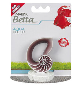 Marina MARINA Betta Ornament Sea Shell