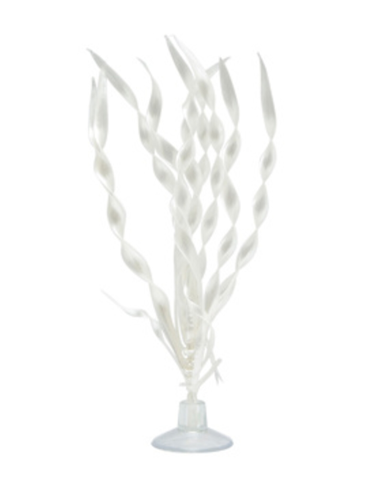 Marina MARINA Corkscrew Val. 5" Plant w/Suction Cup