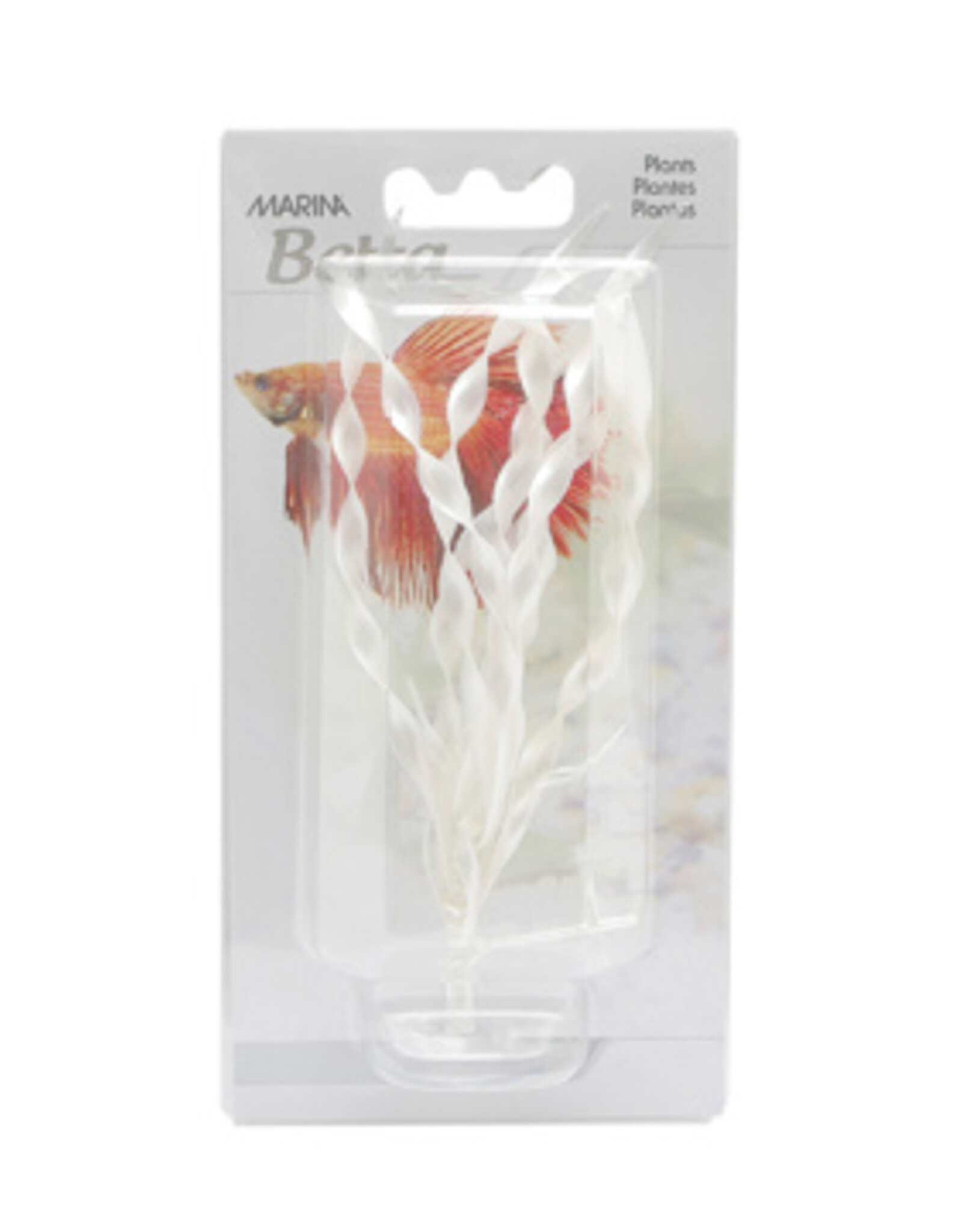 Marina MARINA Corkscrew Val. 5" Plant w/Suction Cup