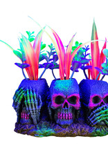 Marina MARINA iGlo 3 Skulls with Plants, 3"