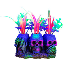 Marina MARINA iGlo 3 Skulls with Plants, 3"