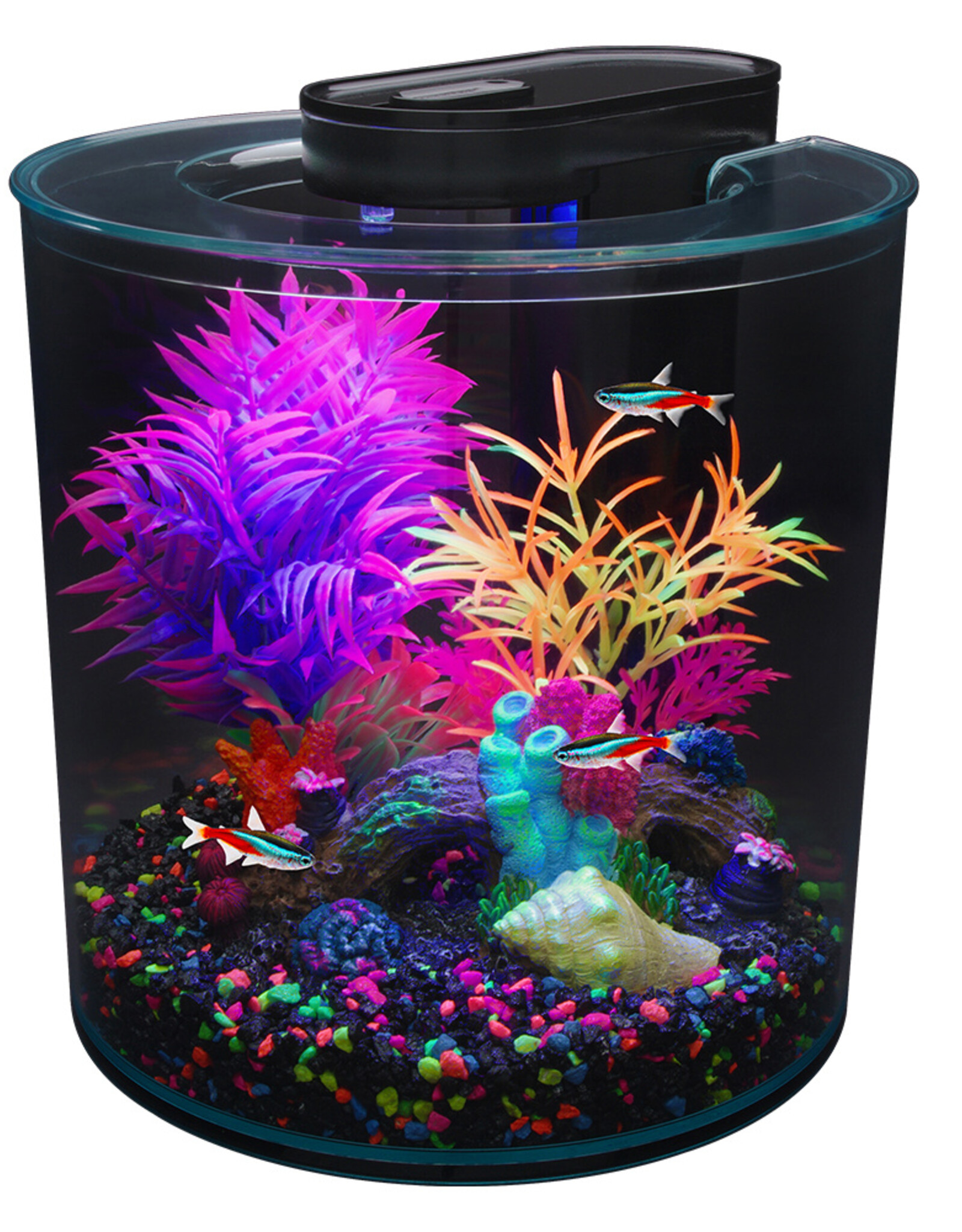 Marina MARINA iGlo Aquarium Kit 2.65G (360°)