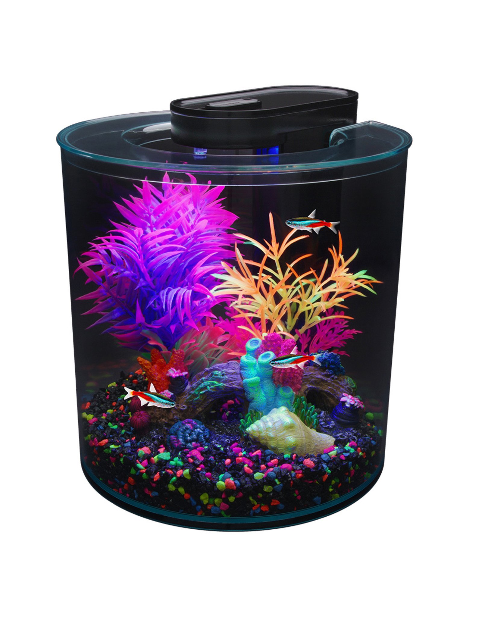 Marina MARINA iGlo Aquarium Kit 2.65G (360°)