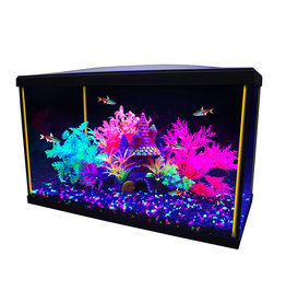 Venti 2-Gallon Professional Showcase Glass Aquarium Kit