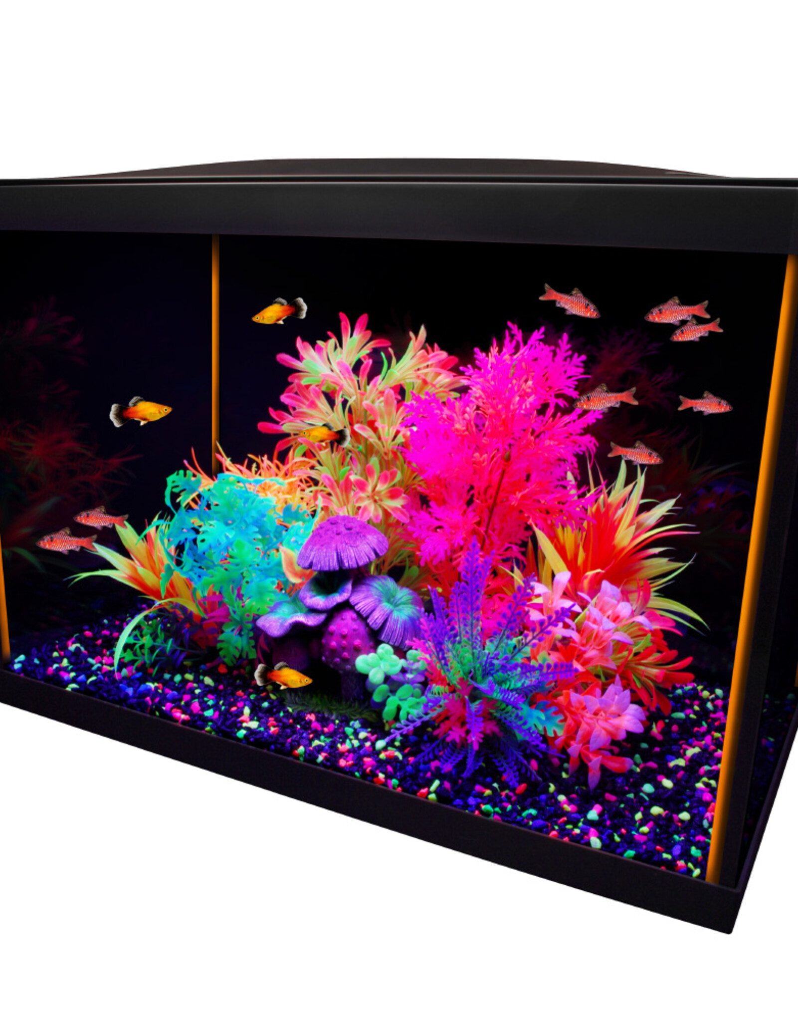 Marina MARINA iGlo Aquarium Kit
