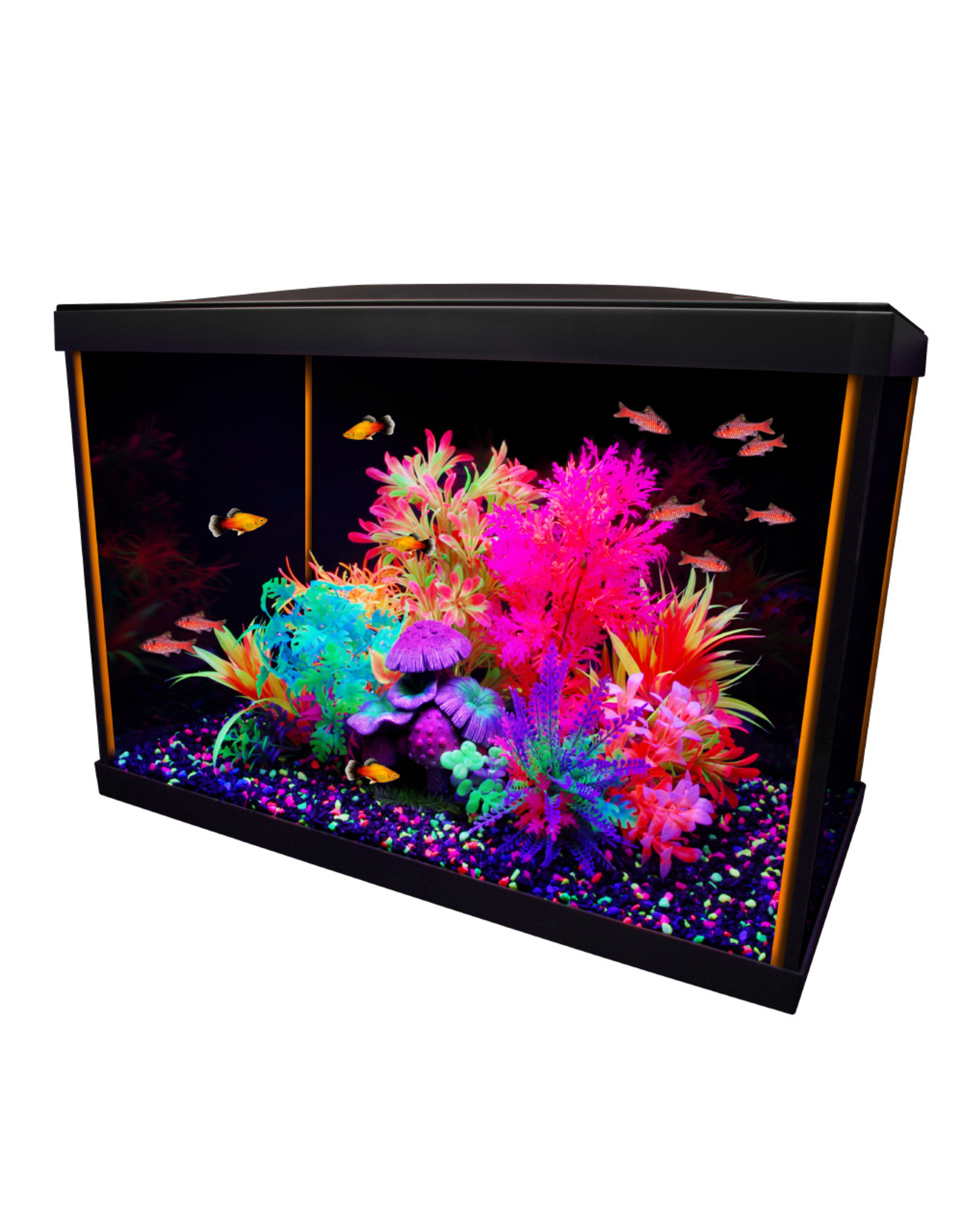 Marina MARINA iGlo Aquarium Kit