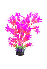 Marina MARINA iGlo Plant 12.5" GPP-0897