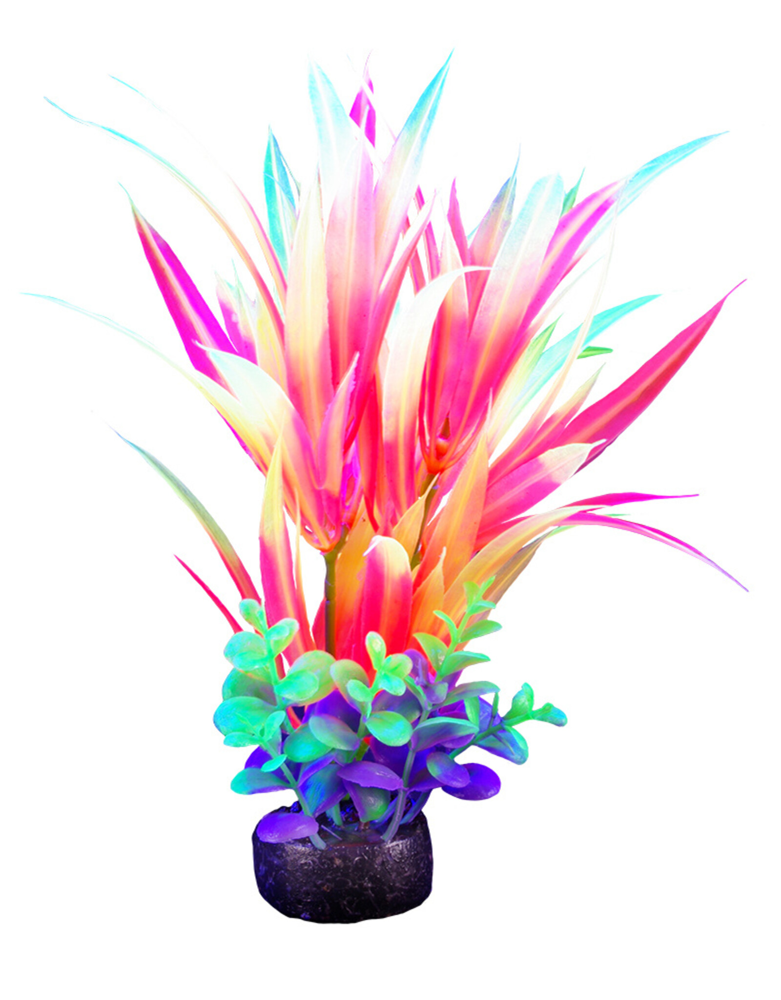 Marina MARINA iGlo Plant 5.5"