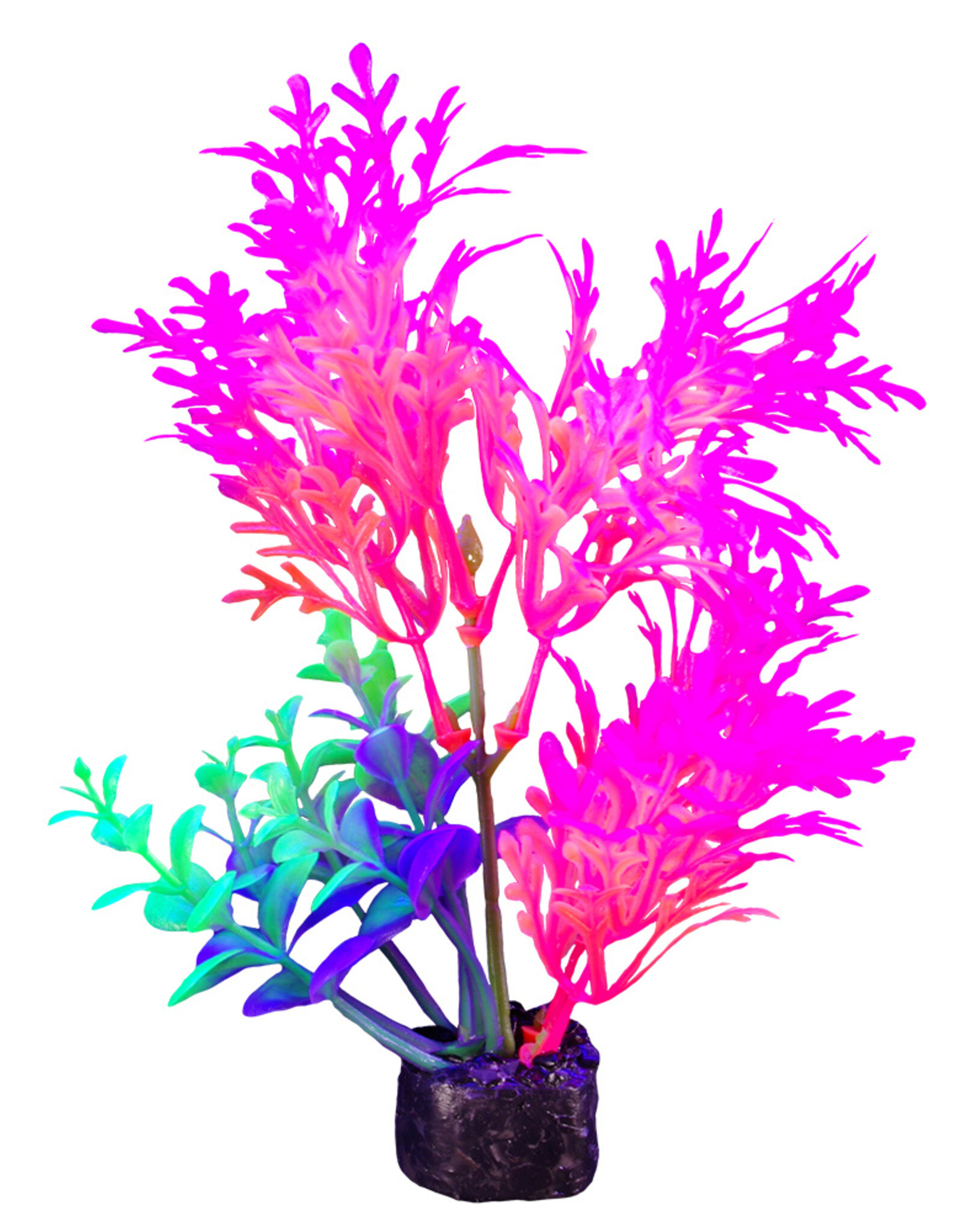 Marina MARINA iGlo Plant 5.5"