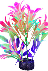 Marina MARINA iGlo Plant 5.5"