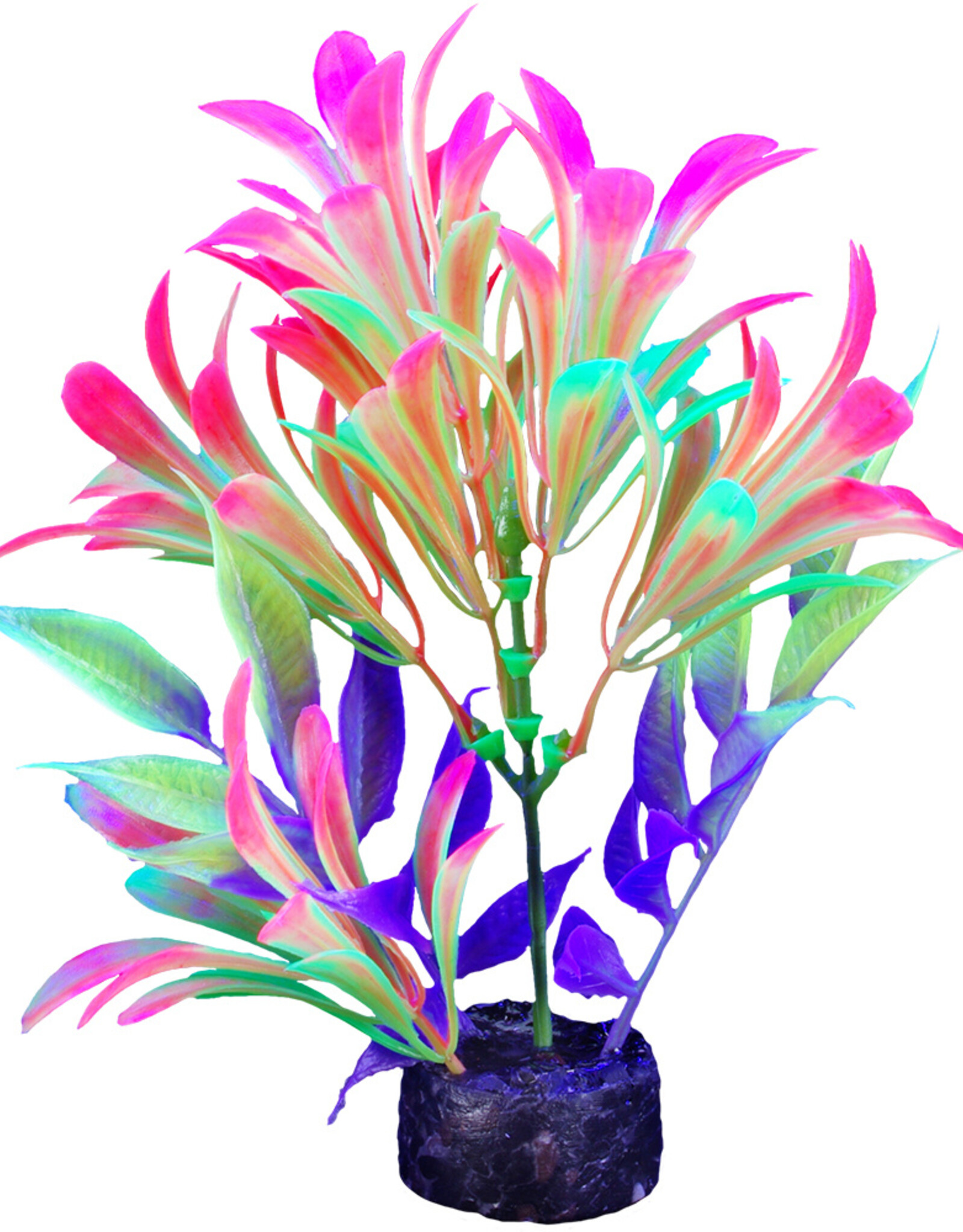 Marina MARINA iGlo Plant 5.5"