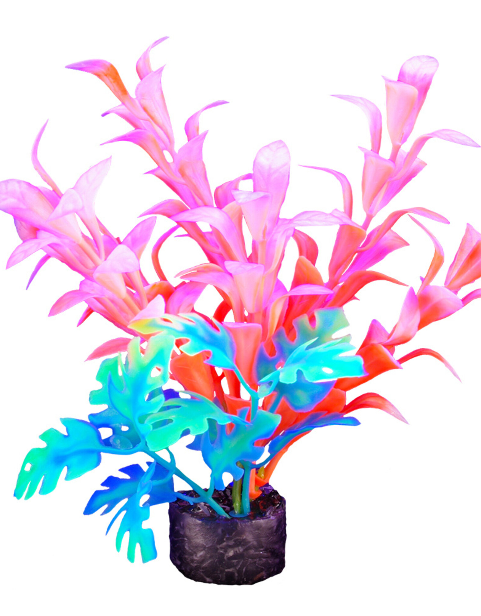 Marina MARINA iGlo Plant 5.5"