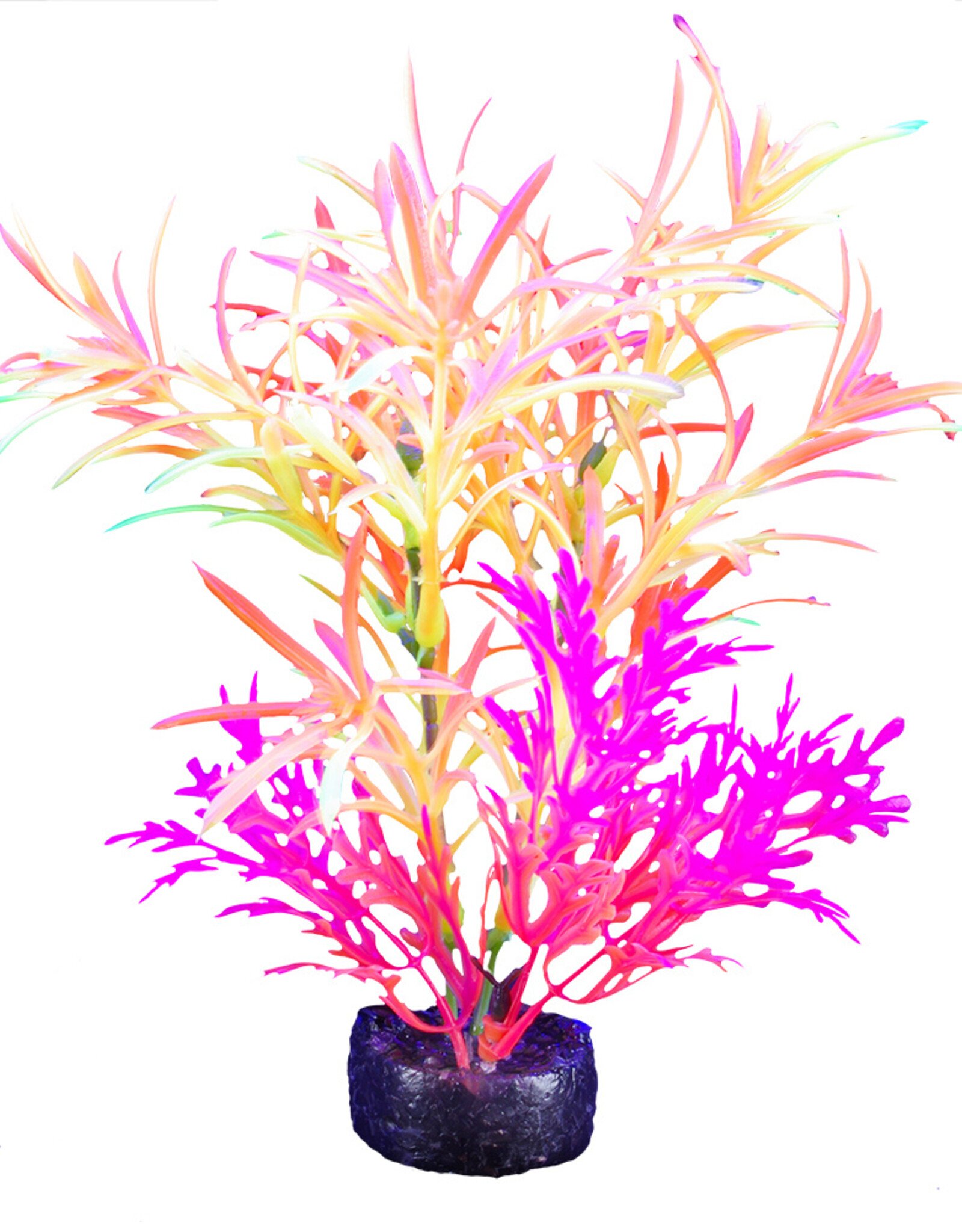 Marina MARINA iGlo Plant 5.5"