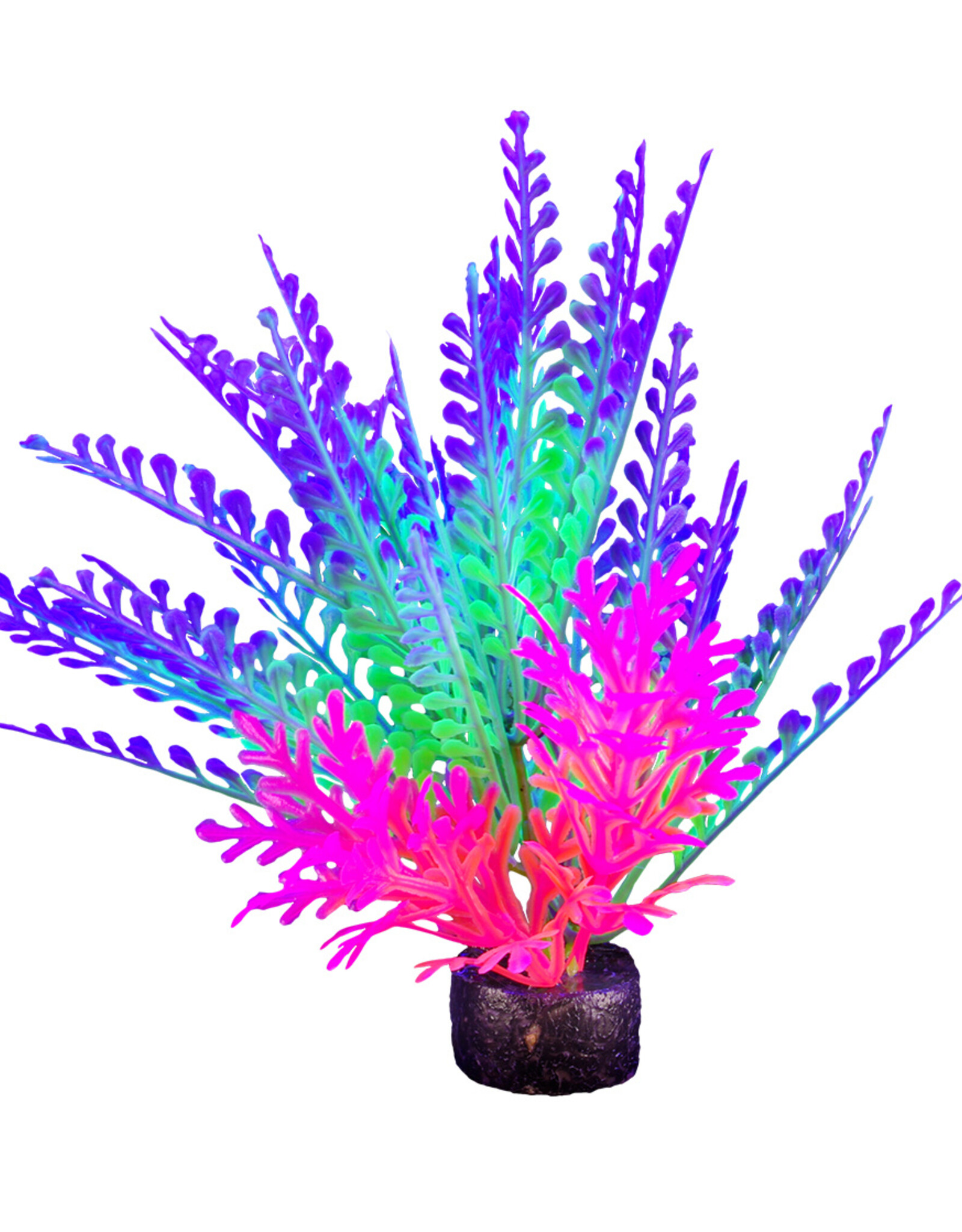 Marina MARINA iGlo Plant 5.5"