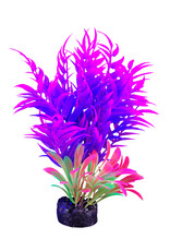 Marina MARINA iGlo Plant 5.5"