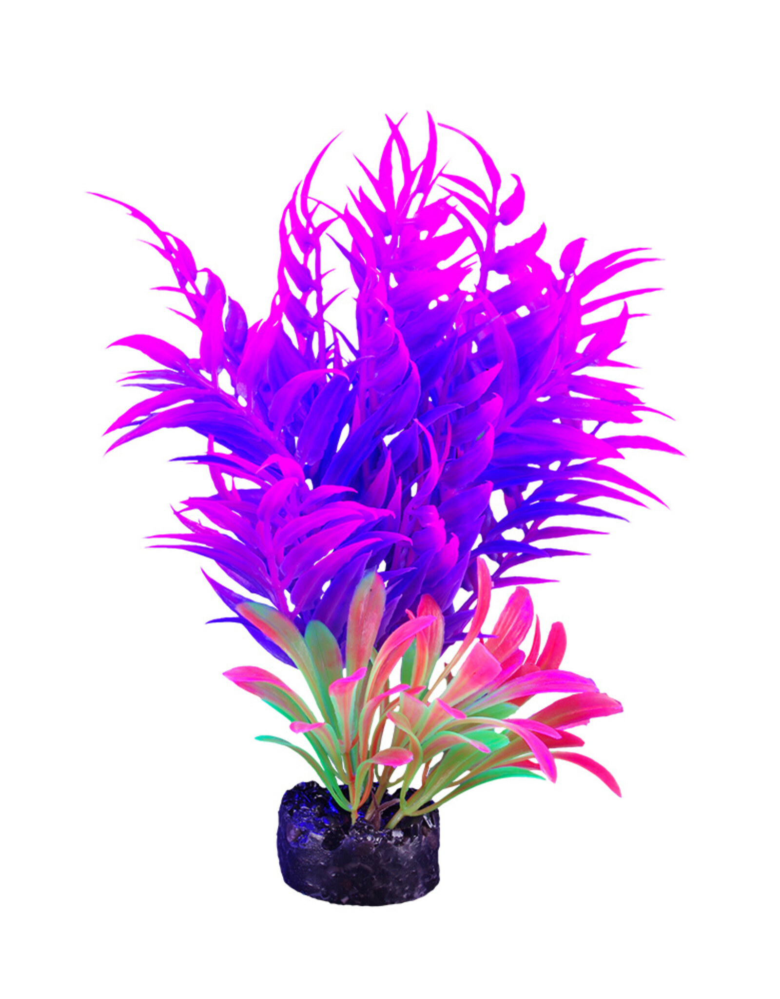 Marina MARINA iGlo Plant 5.5"