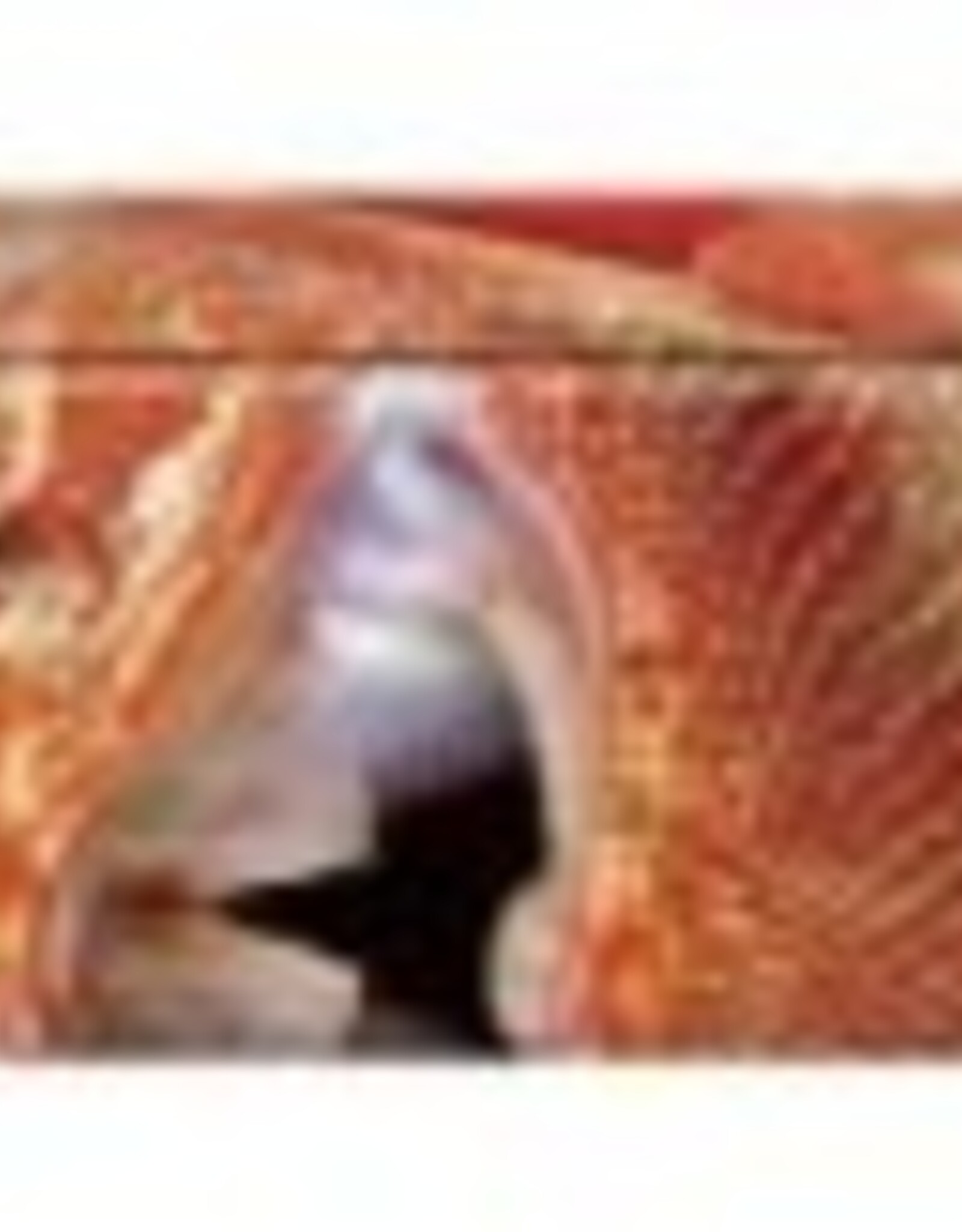 Zoo Med ZOO MED Reptisun T8 Fluorescent Bulb 5.0UVB