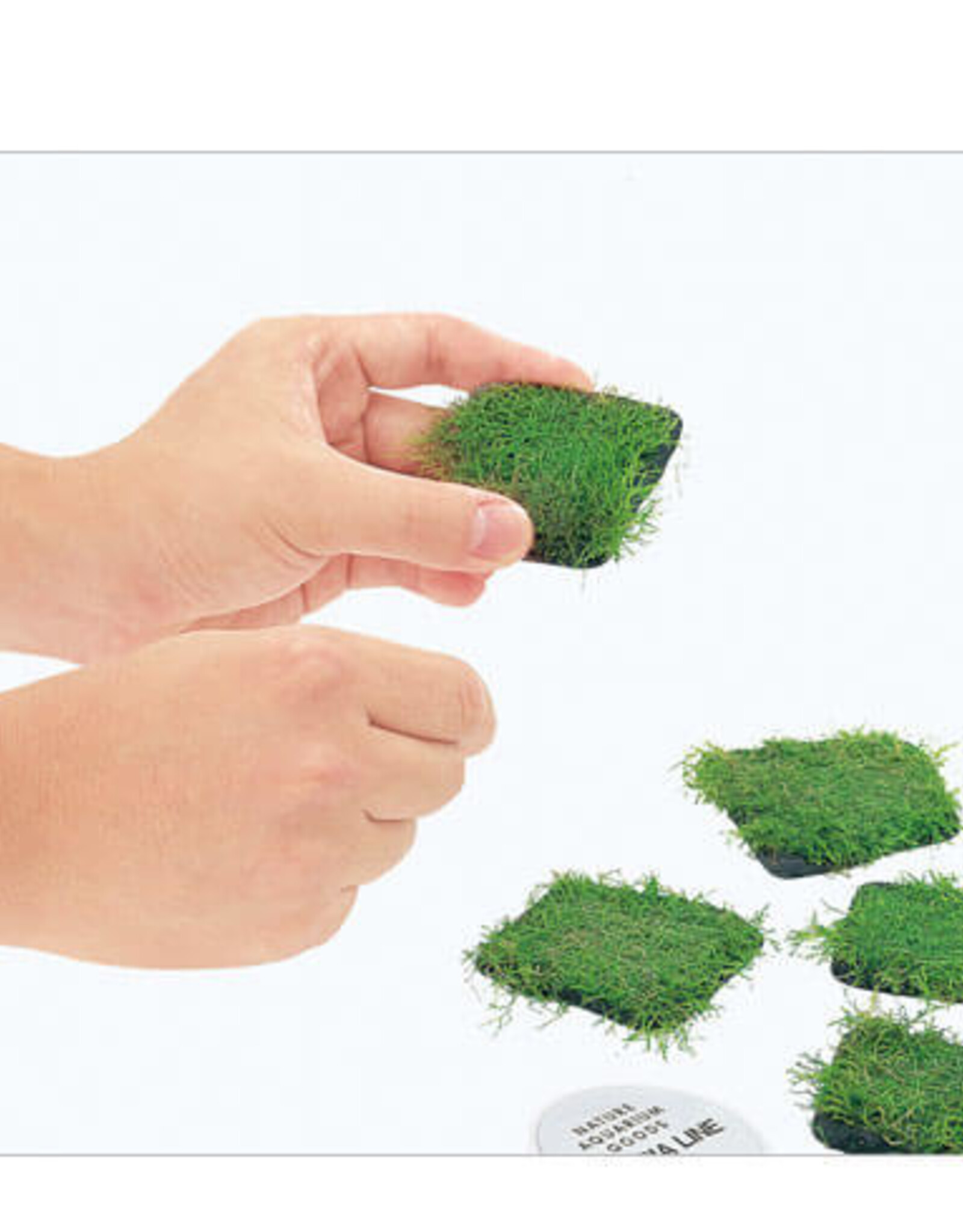 ADA ADA Riccia Stone 10 pieces