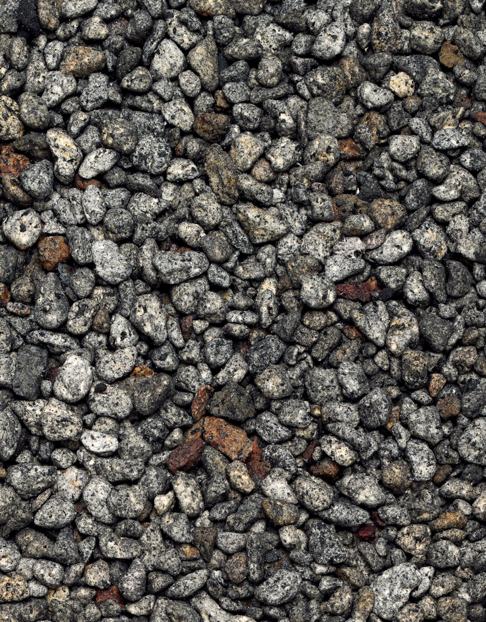 DOOA DOOA Jungle Base 1L