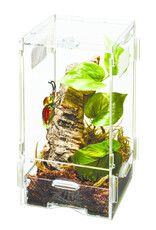 Zilla ZILLA Micro Habitat Arboreal Small