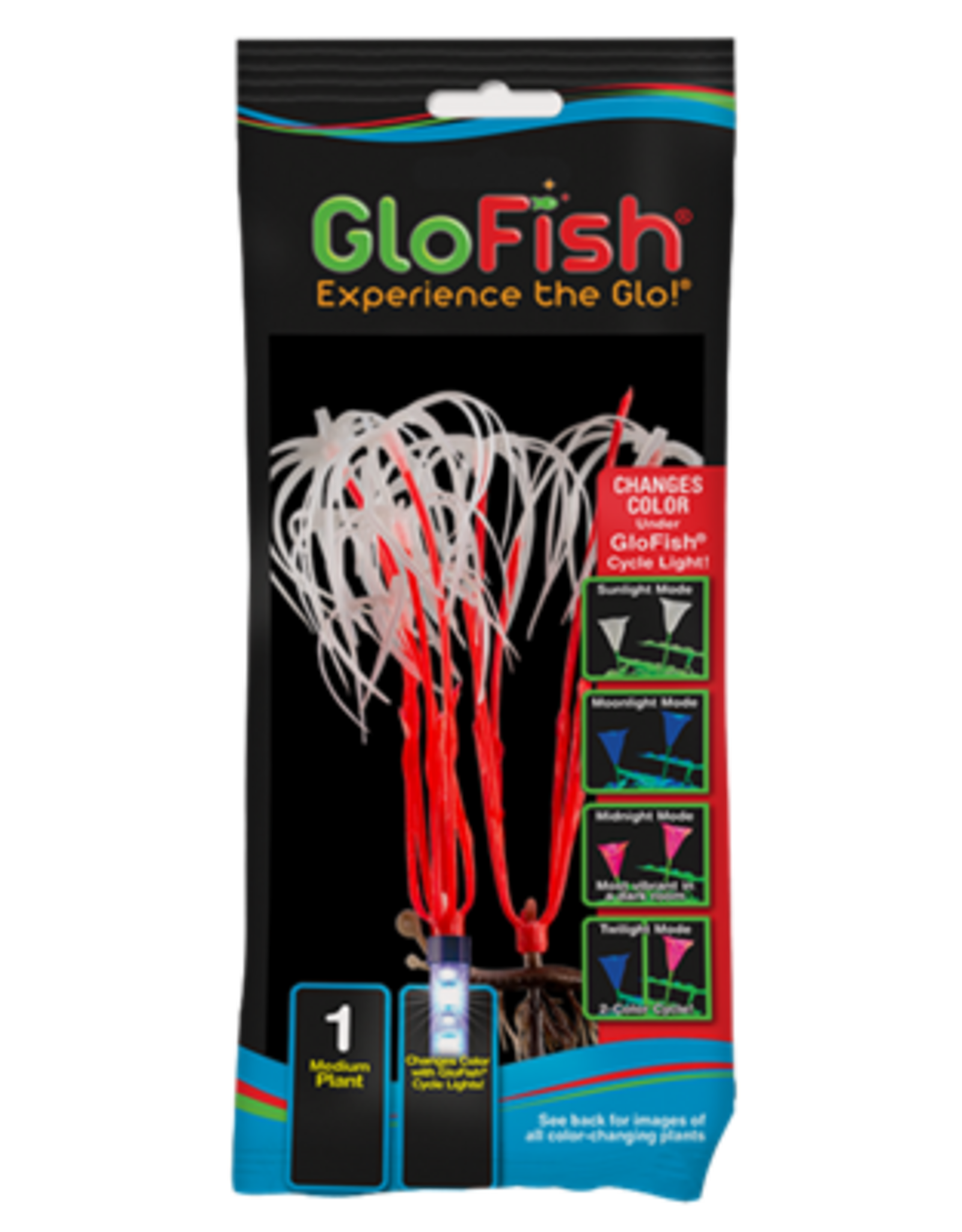 Tetra TETRA GloFish Color-Changing Plant Orange Medium
