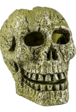 Tetra TETRA GloFish Ornament, Skull