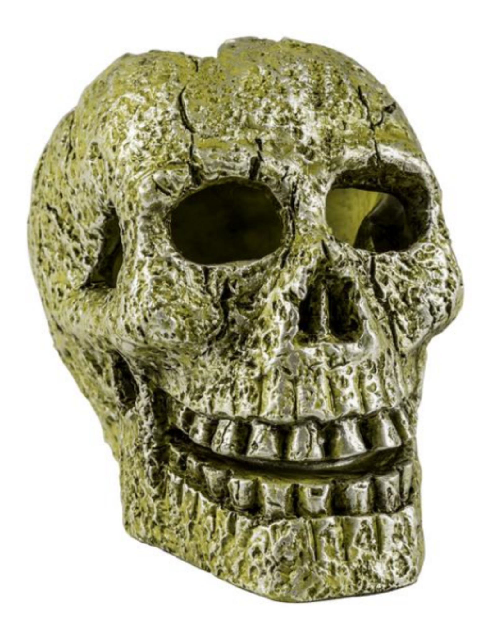 Tetra TETRA GloFish Ornament, Skull