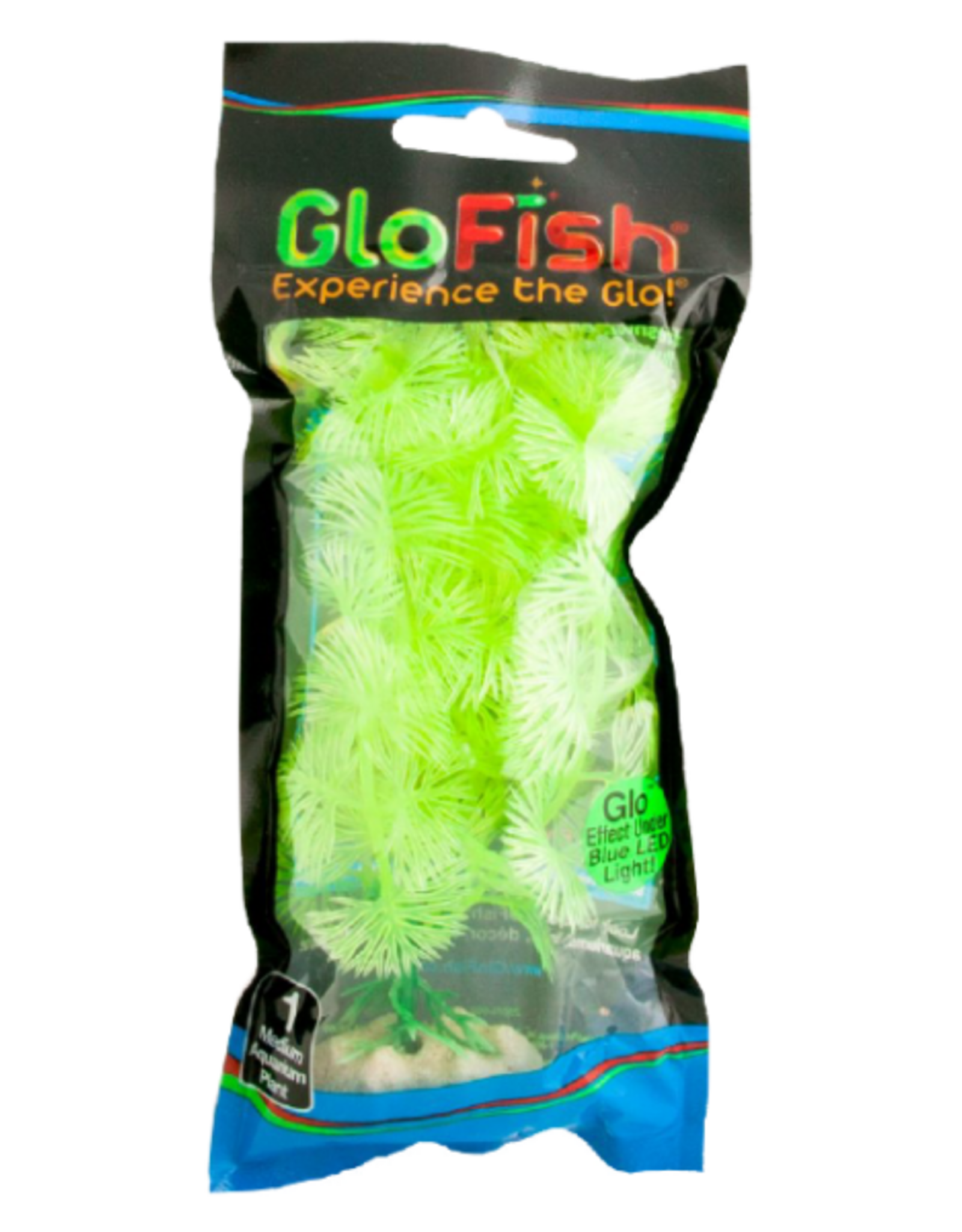 Tetra TETRA GloFish Plant Yellow