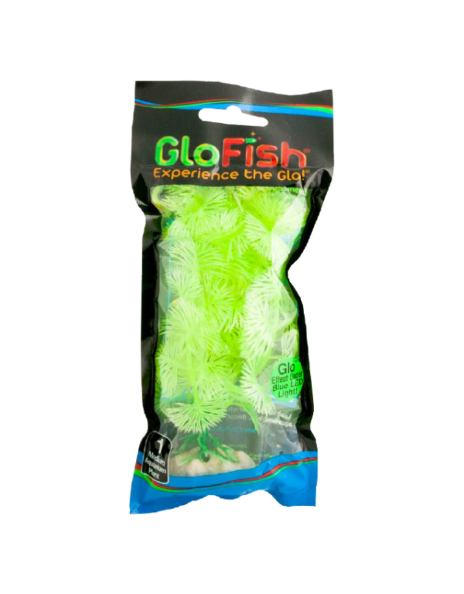 Tetra TETRA GloFish Plant Yellow