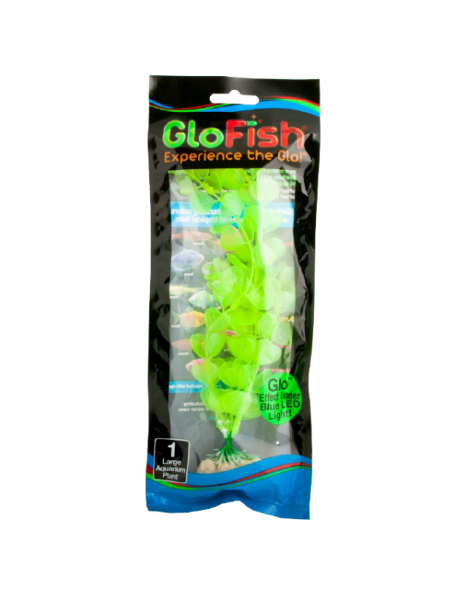 Tetra TETRA GloFish Plant Yellow