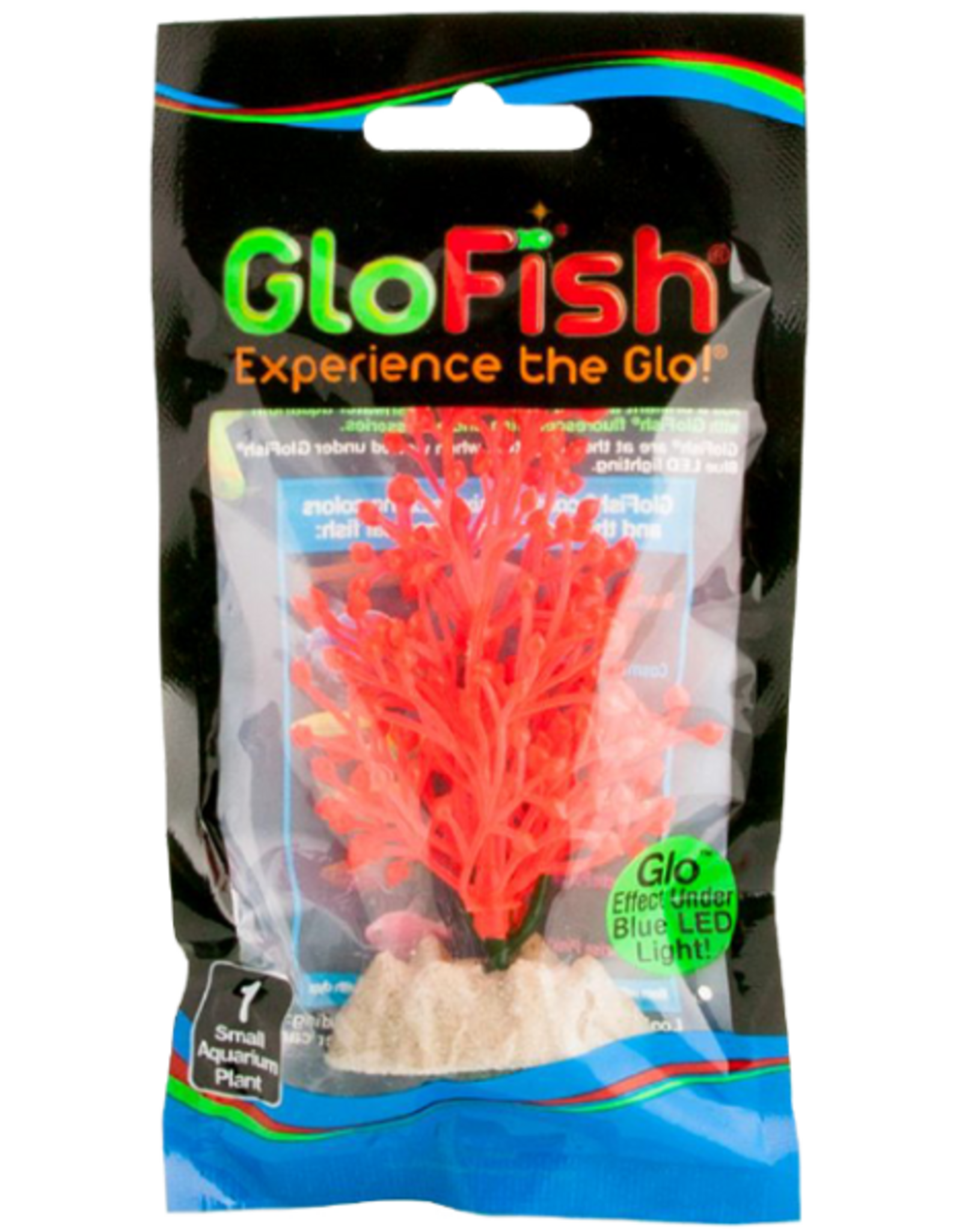 Tetra TETRA GloFish Plant Orange