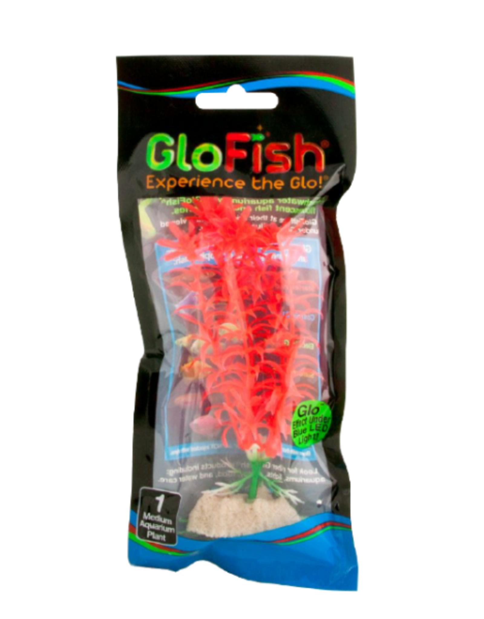 Tetra TETRA GloFish Plant Orange