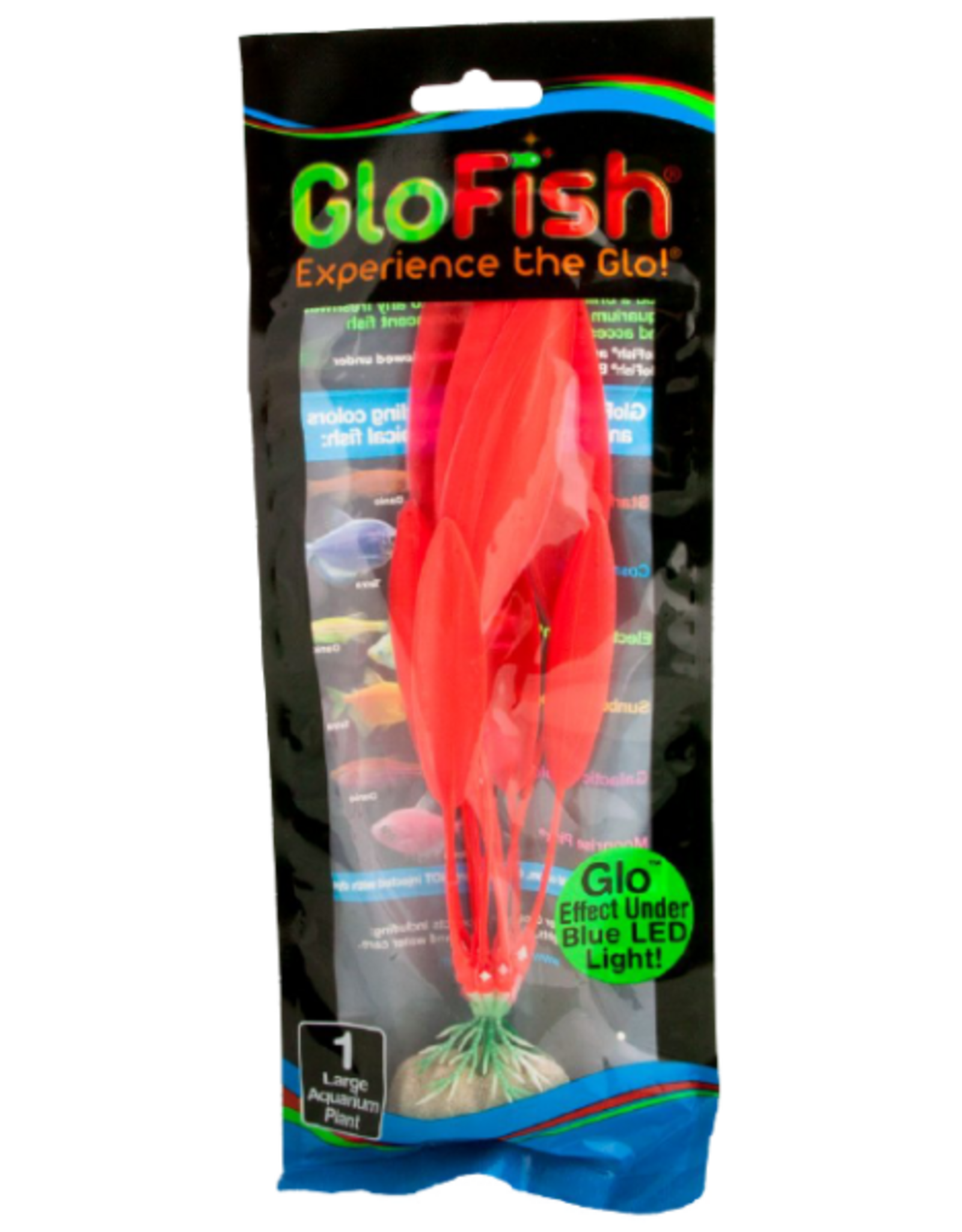Tetra TETRA GloFish Plant Orange