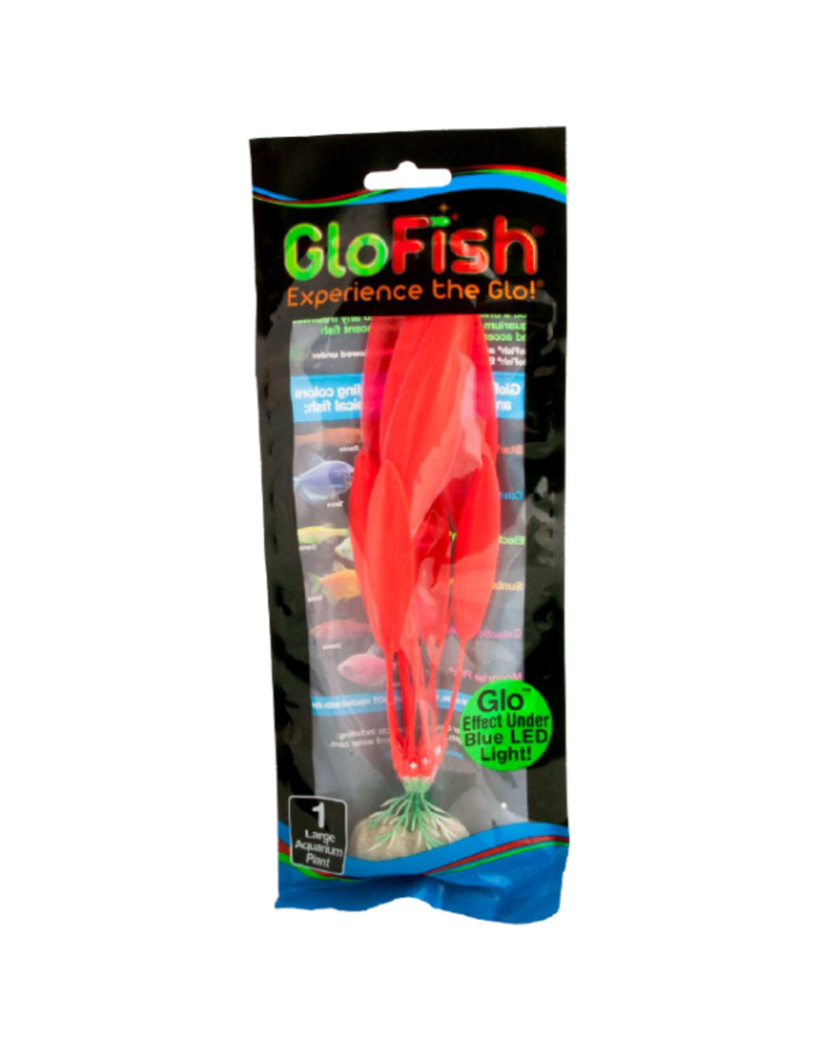 Tetra TETRA GloFish Plant Orange