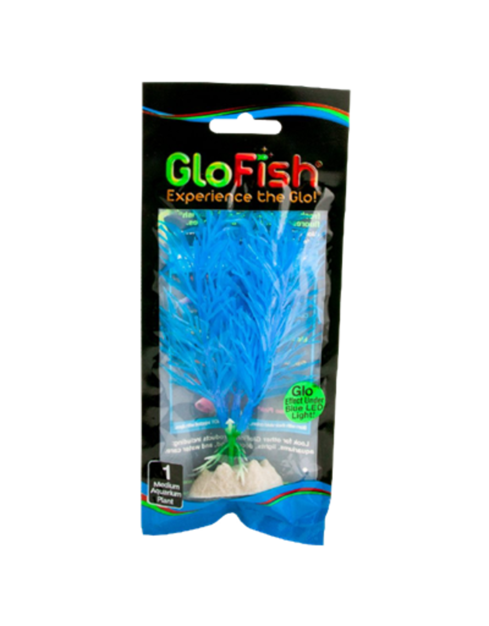 Tetra TETRA GloFish Plant Blue