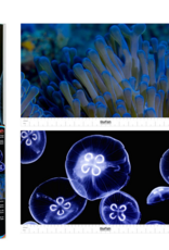 Tetra TETRA Glofish Reversible Backgrounds Jellyfish/Sea Anemone 10 Gal