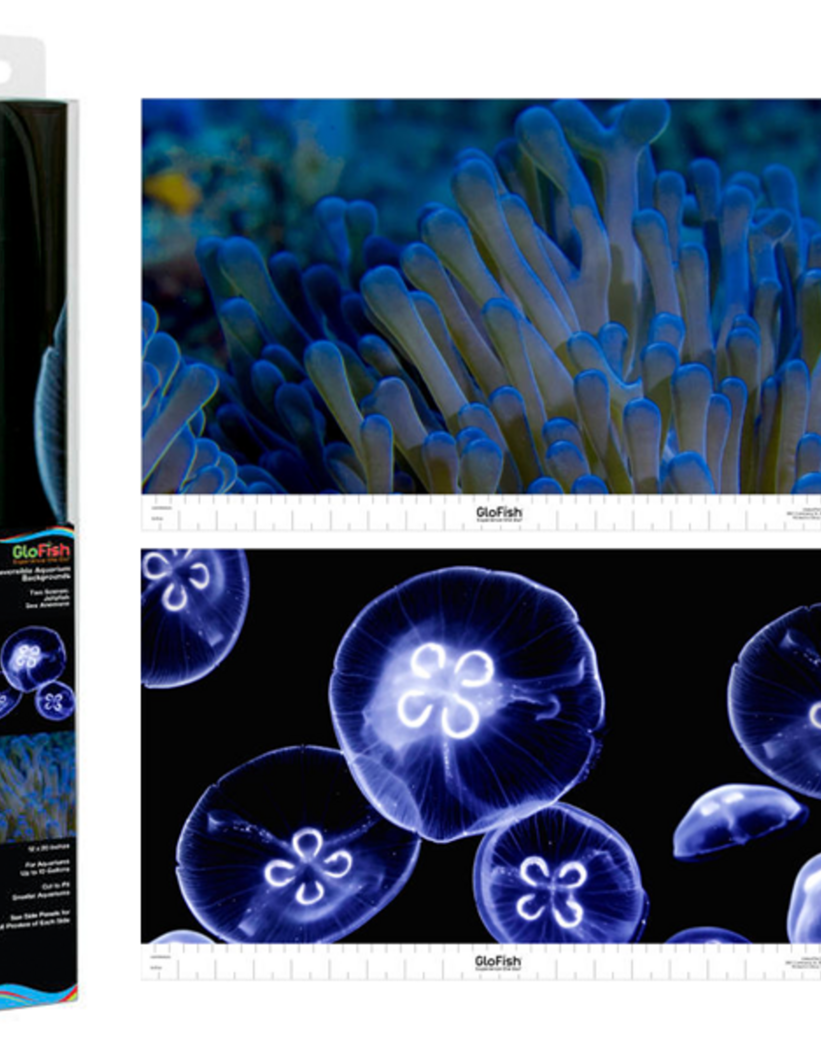 Tetra TETRA Glofish Reversible Backgrounds Jellyfish/Sea Anemone 10 Gal