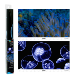 Tetra TETRA Glofish Reversible Backgrounds Jellyfish/Sea Anemone 10 Gal